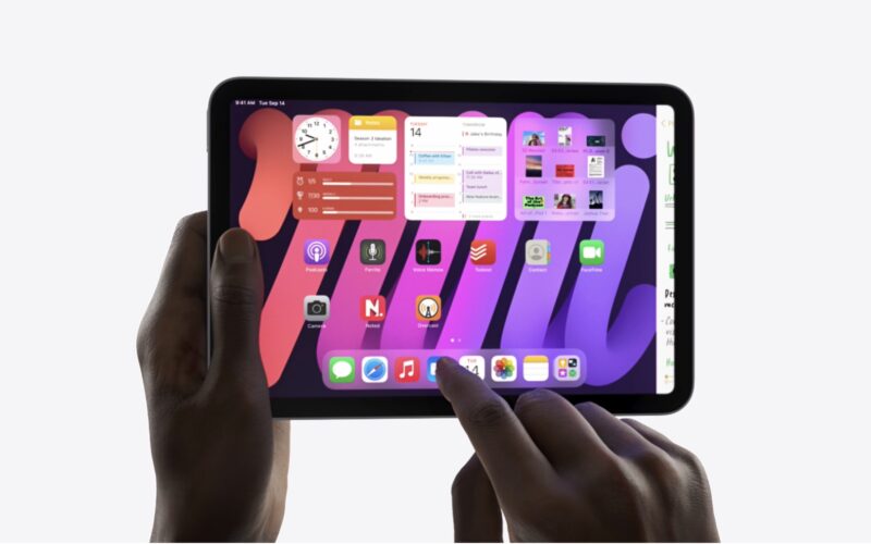 ipadmini02