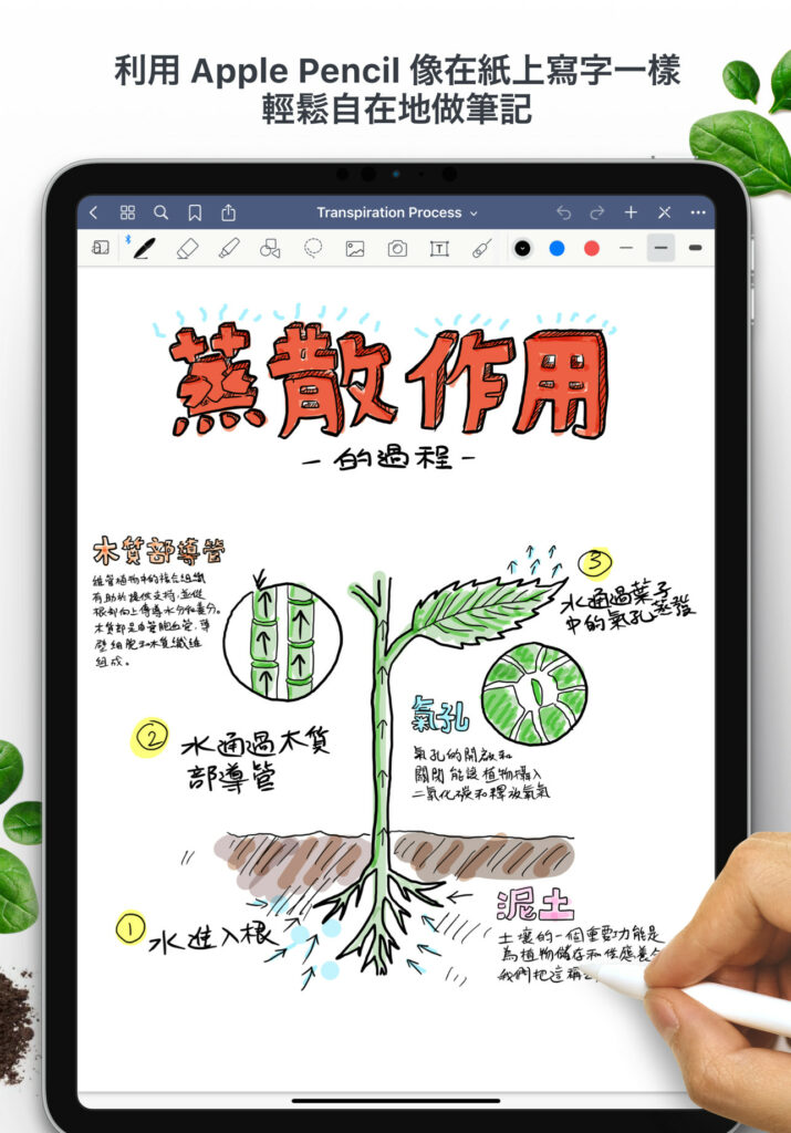 GoodNotes 5 2