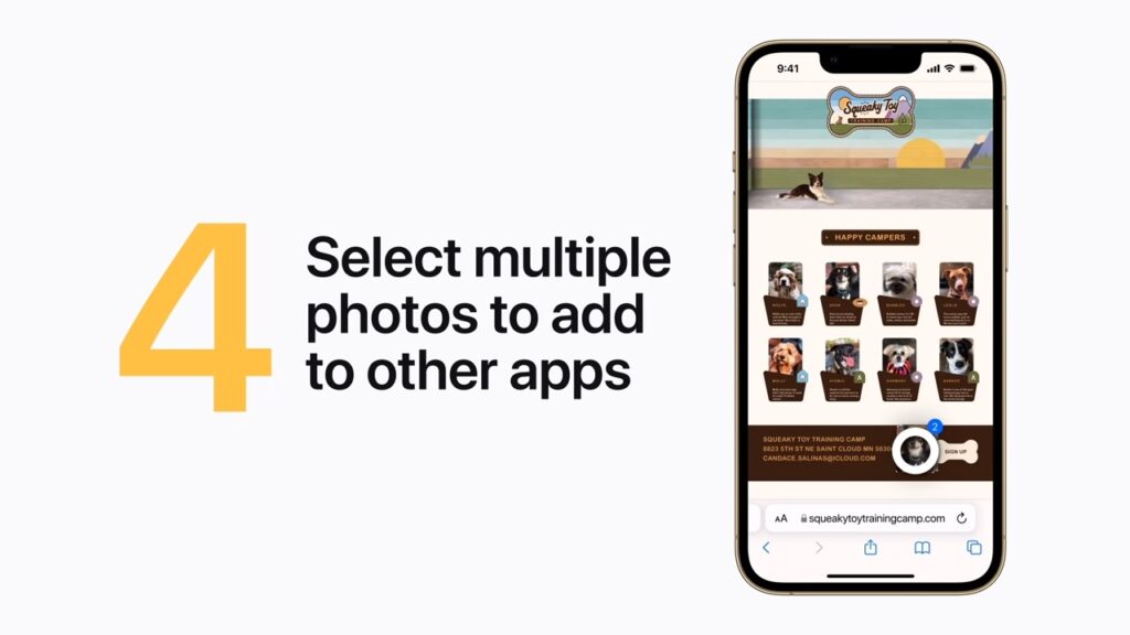 ios15 skill5