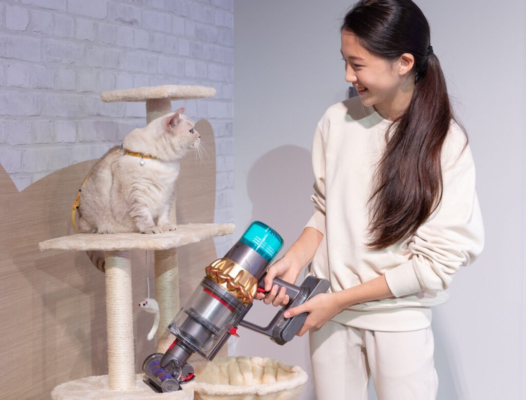dyson cat