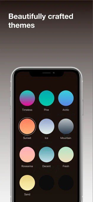 focusdot 04