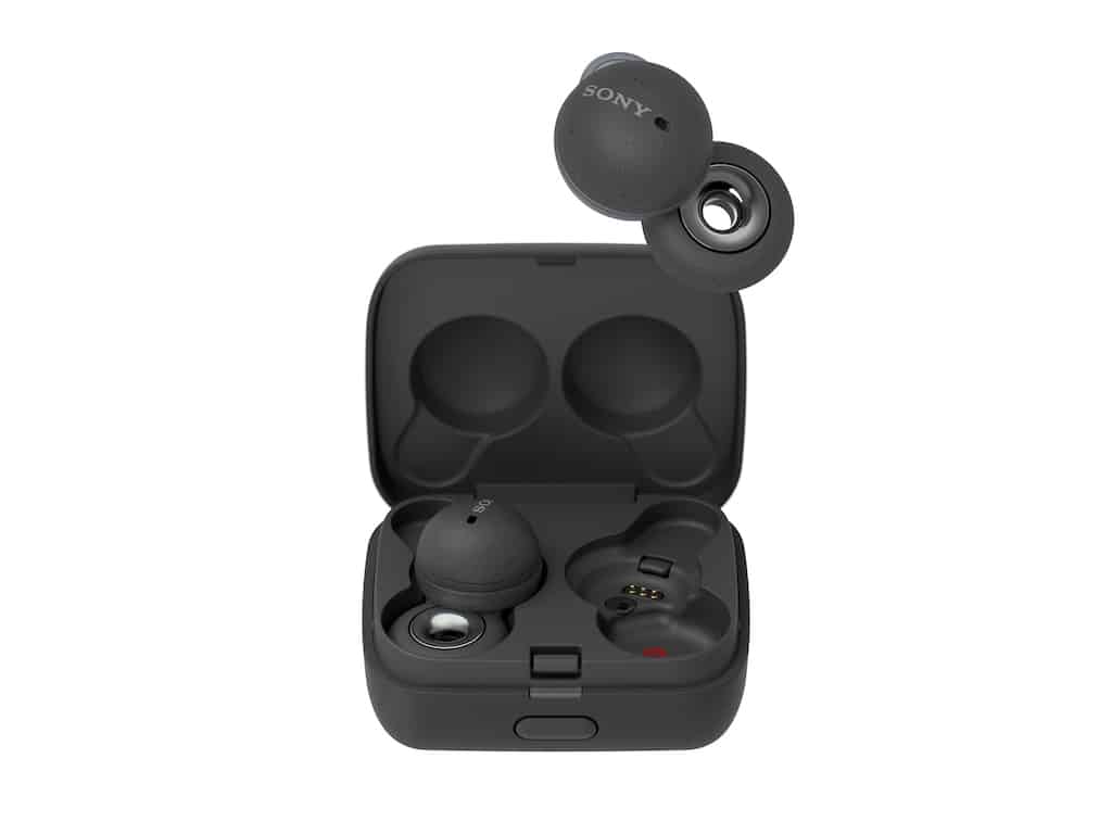 LinkBuds G case open2 Large