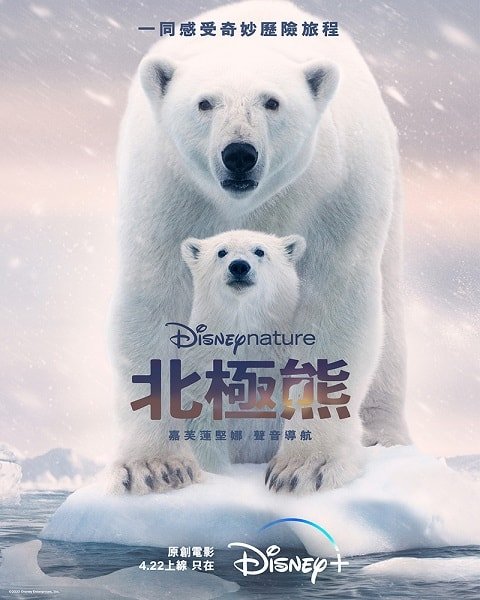polar bear