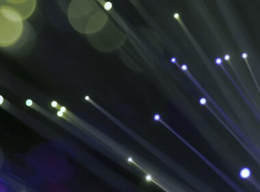 Fiber