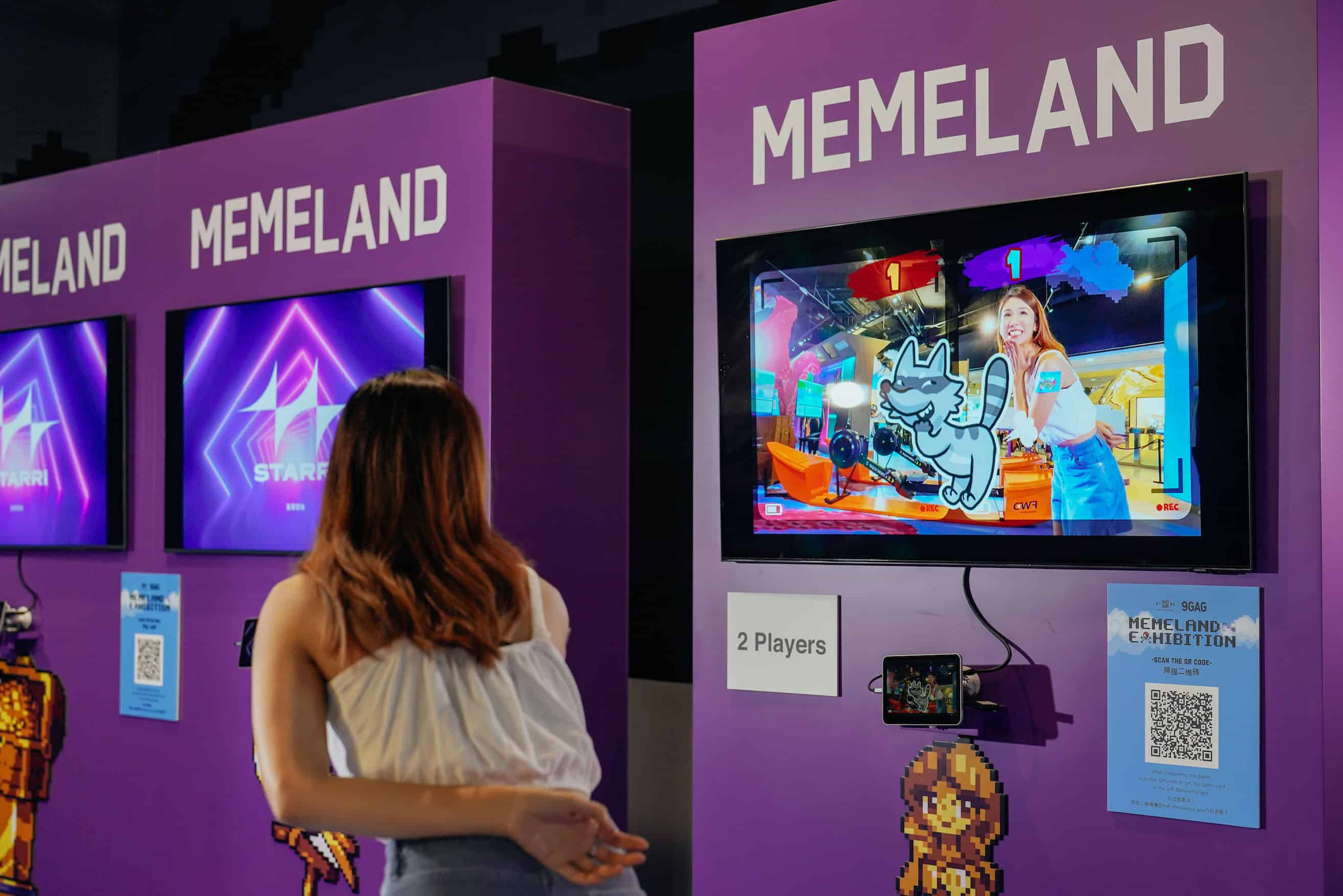 Memeland Party Fowl P1