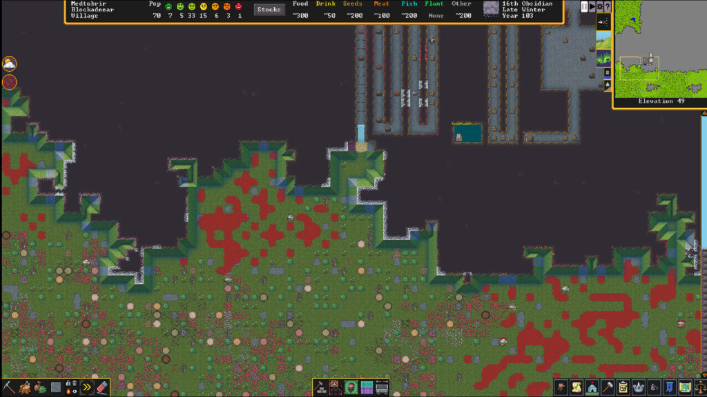 Dwarf Fortress 2