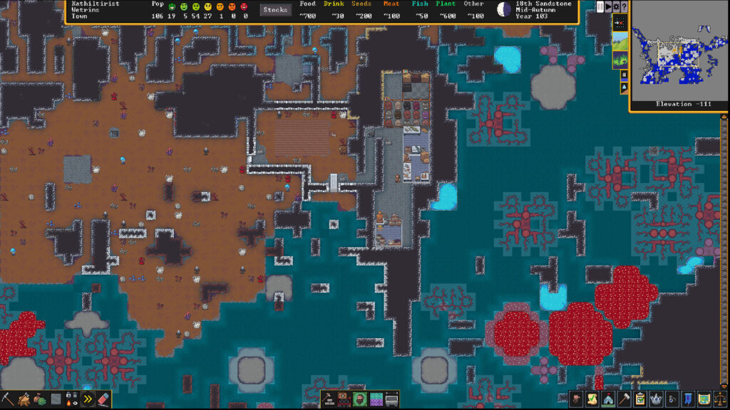 Dwarf Fortress 3
