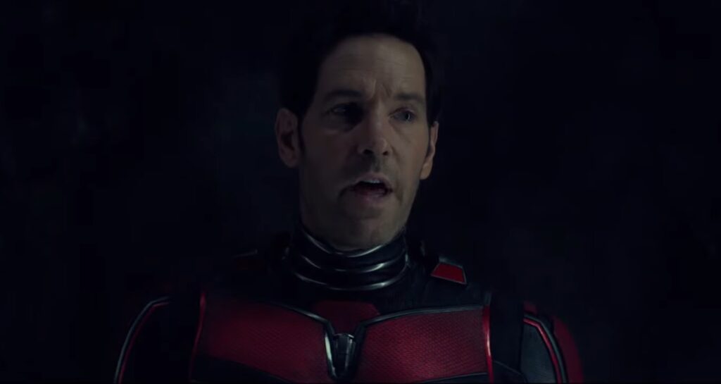 ant