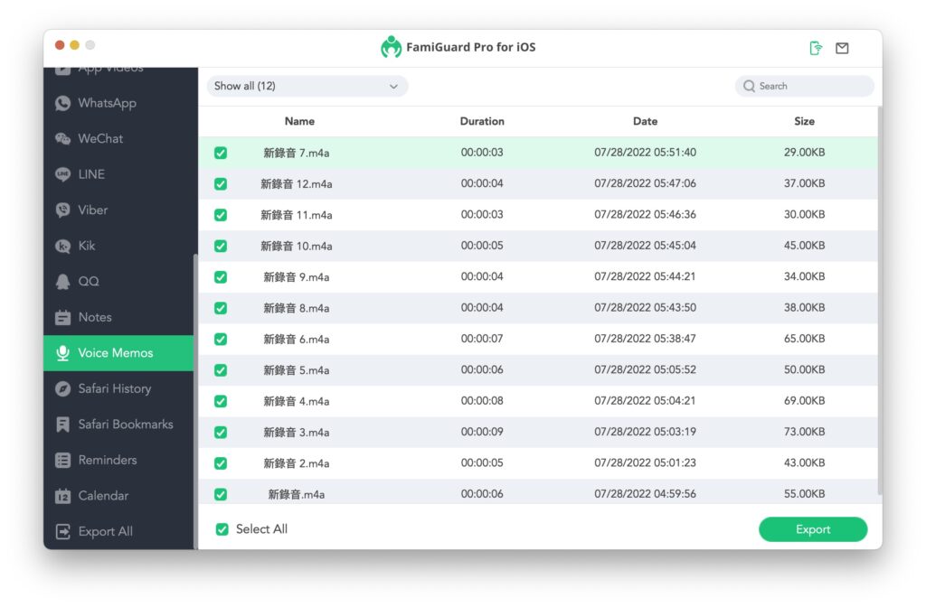 voicememo