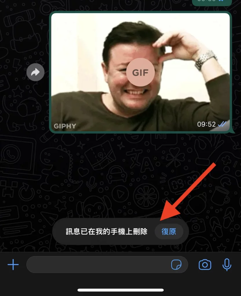 whatsapp undel
