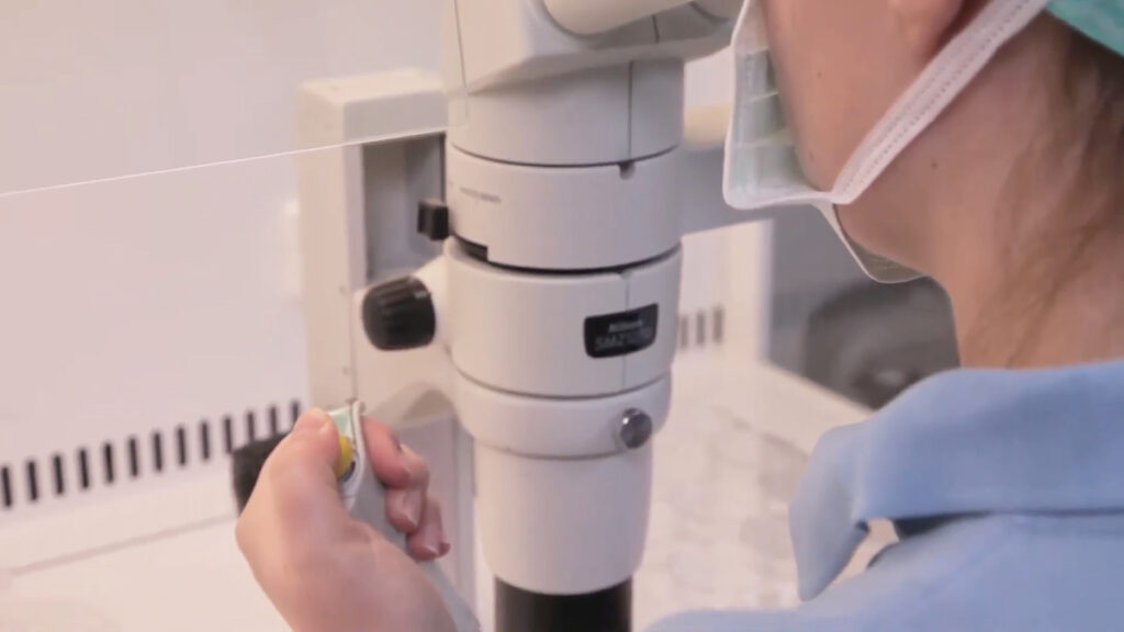 IVF