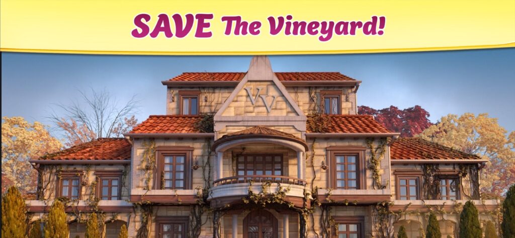 VineyardValley 3