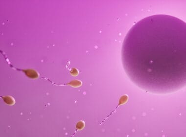 fertilization