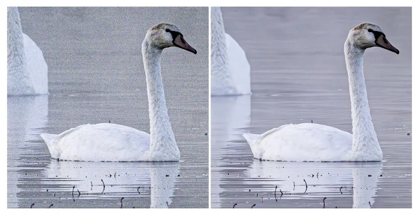 lightroom denoise 1