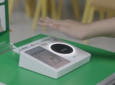 scan palm01