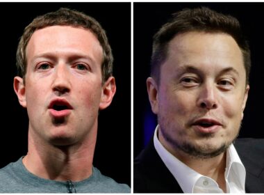 elon musk mark zuckerberg