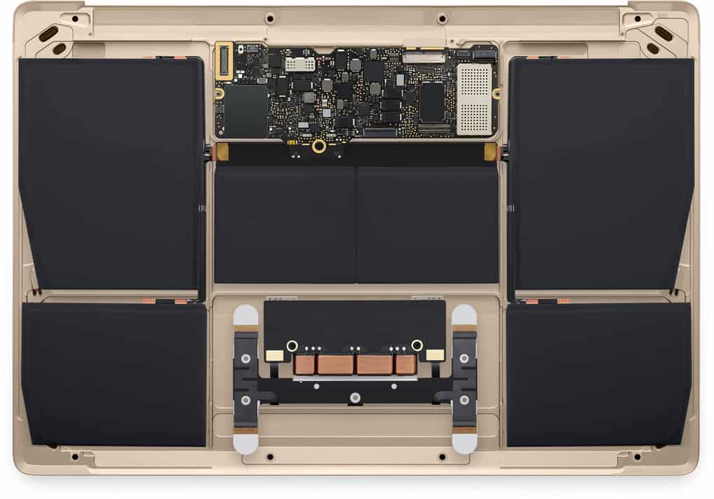 internals layer start large