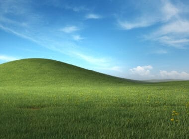 winxp