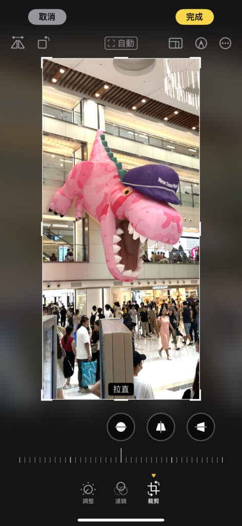 IMG 0221