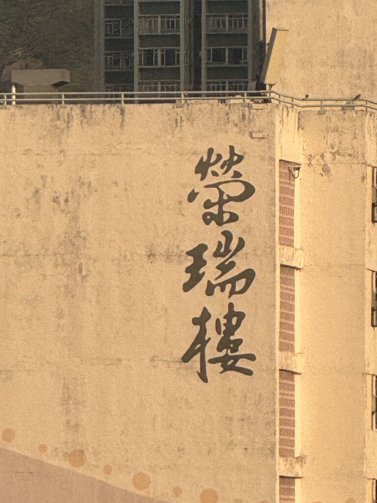 IMG 0496