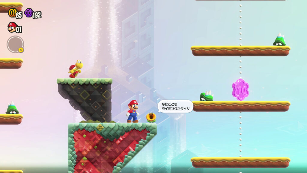 Super Mario Bros Wonder 13