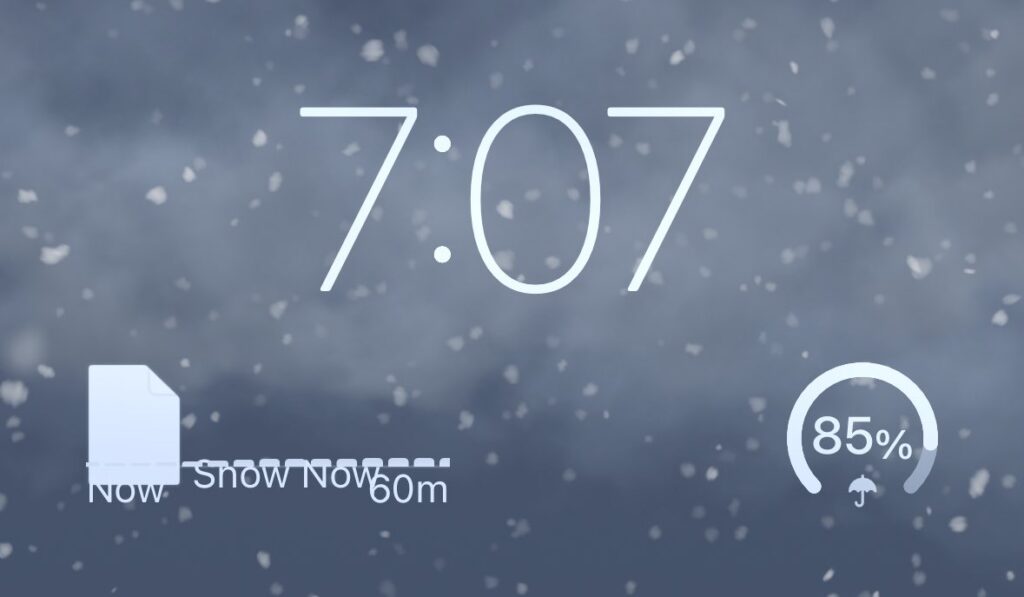 snow bug01