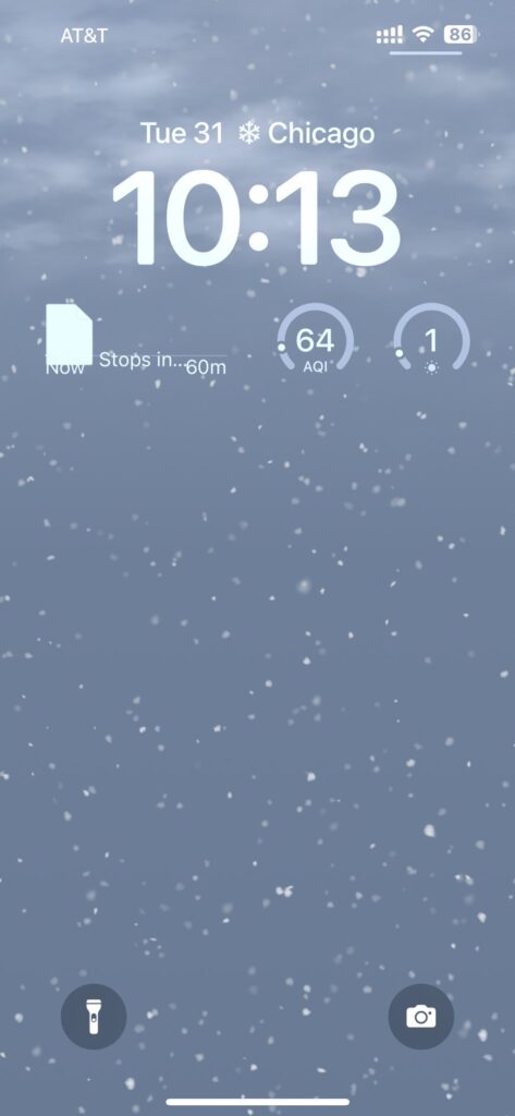 snow bug02