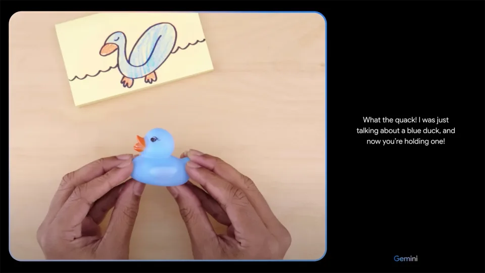 Gemini duck