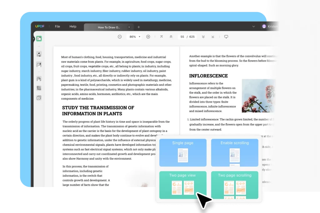 landing page reader new multiple page