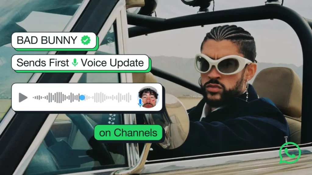 voice.jpg