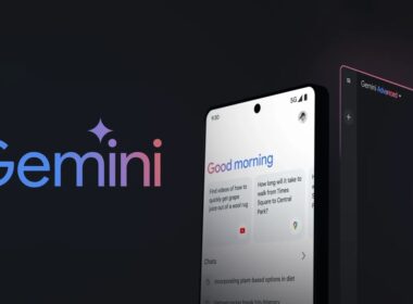 germini title
