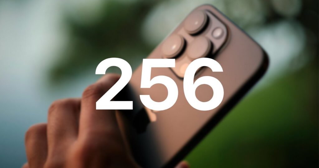 256