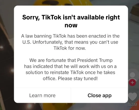 tiktok ban01