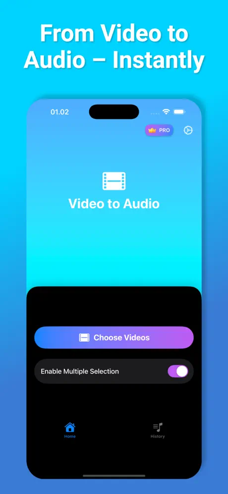 Video to Audio Extractor