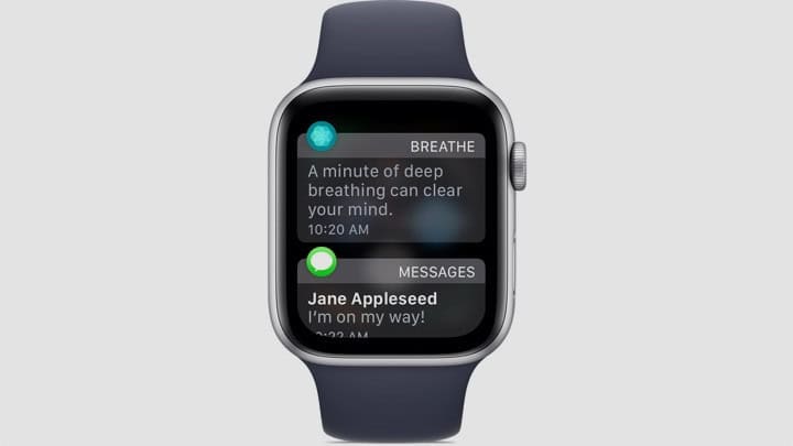applewatch notif
