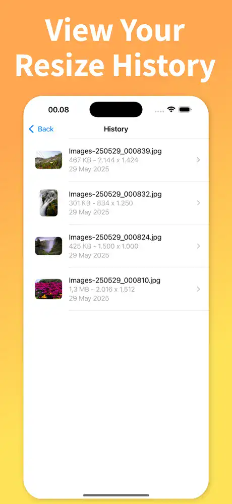 460x0w 2025 05 29T181255.668