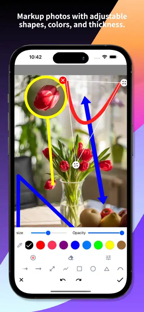 460x0w 2025 06 05T131312.671