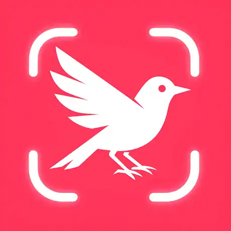 限時免費