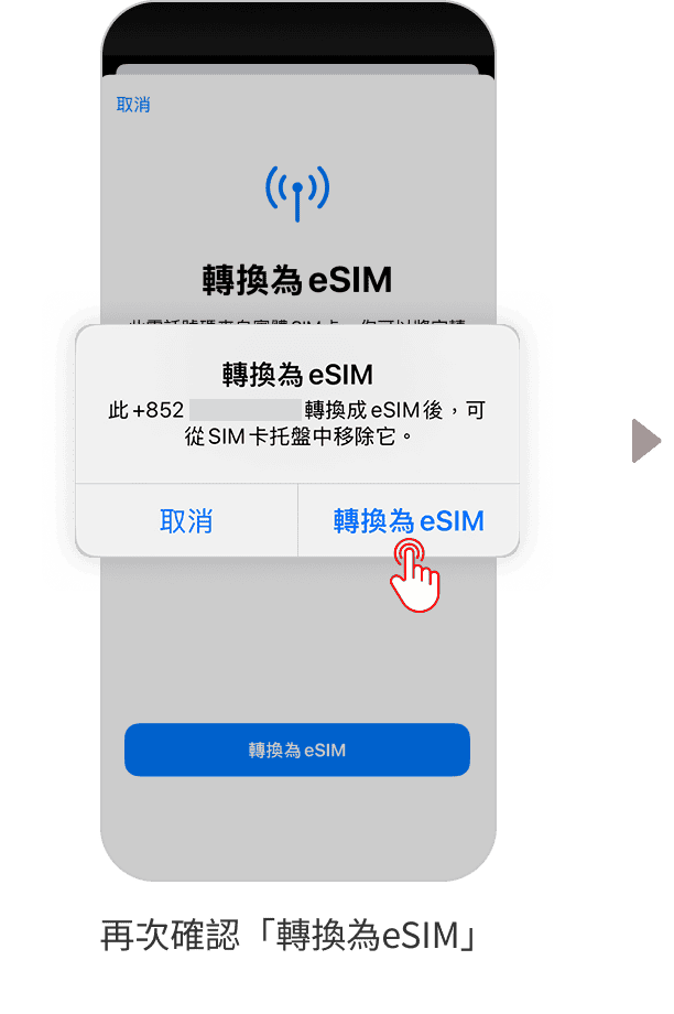 esim psim step4