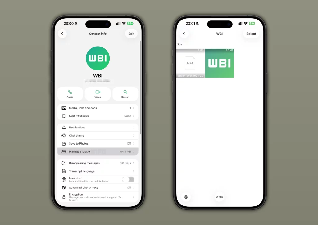 WA MANAGE STORAGE FROM THE CHAT INFO SCREEN FEATURE IOS