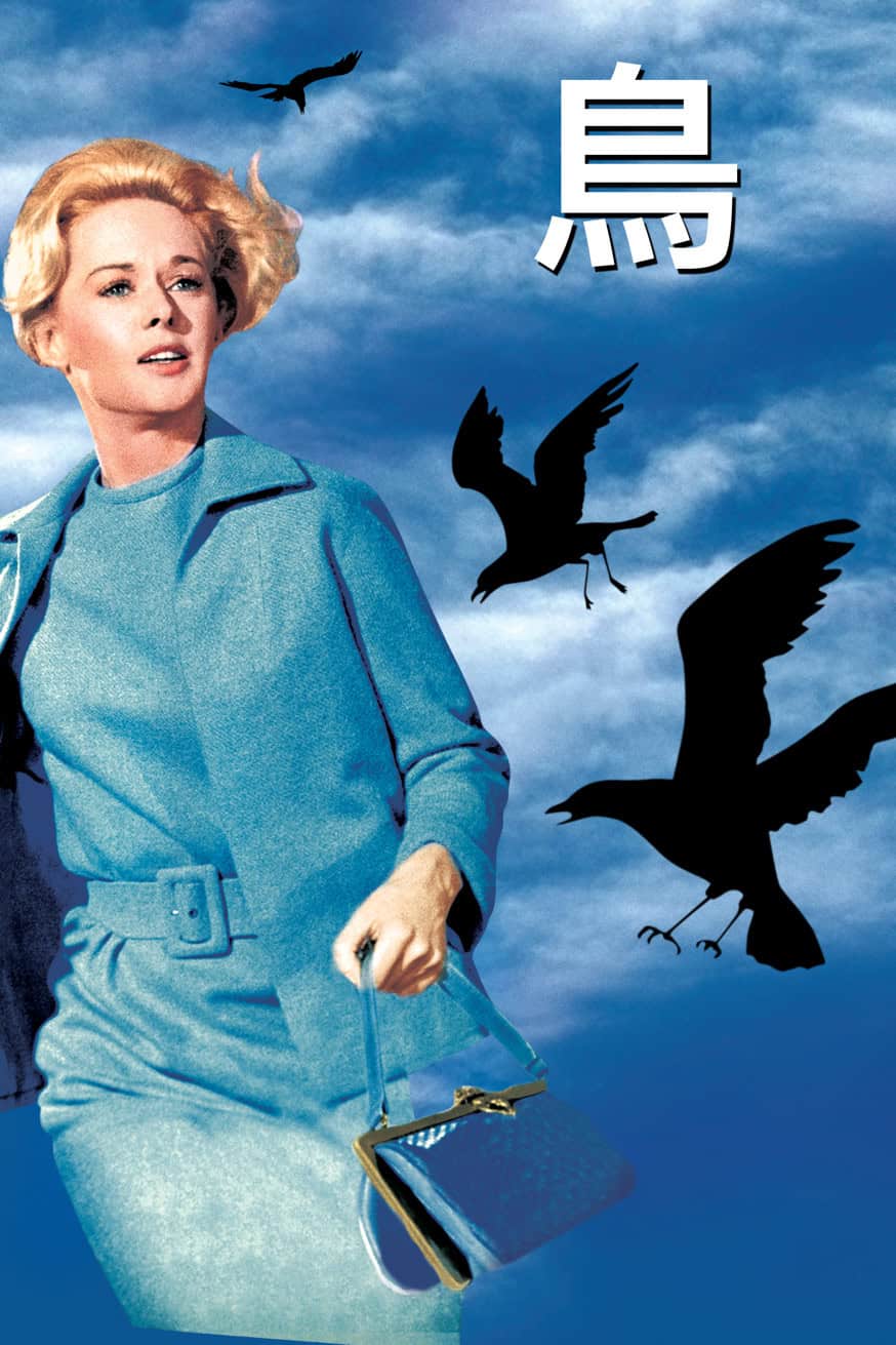 鳥 電影封面
