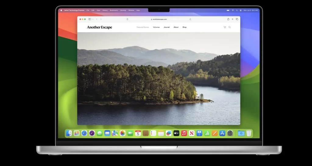 safari