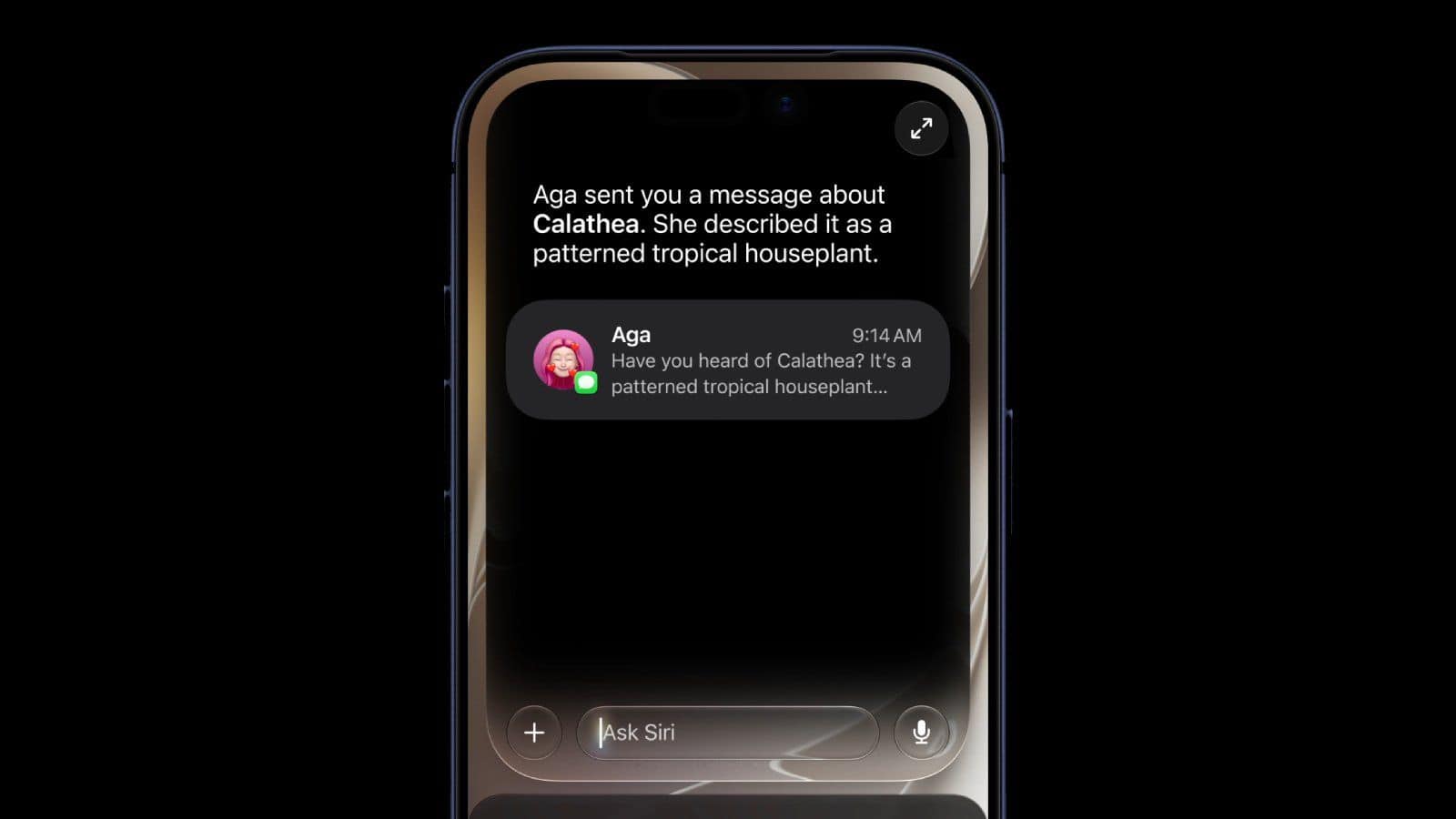 與 Siri AI 相關的圖片