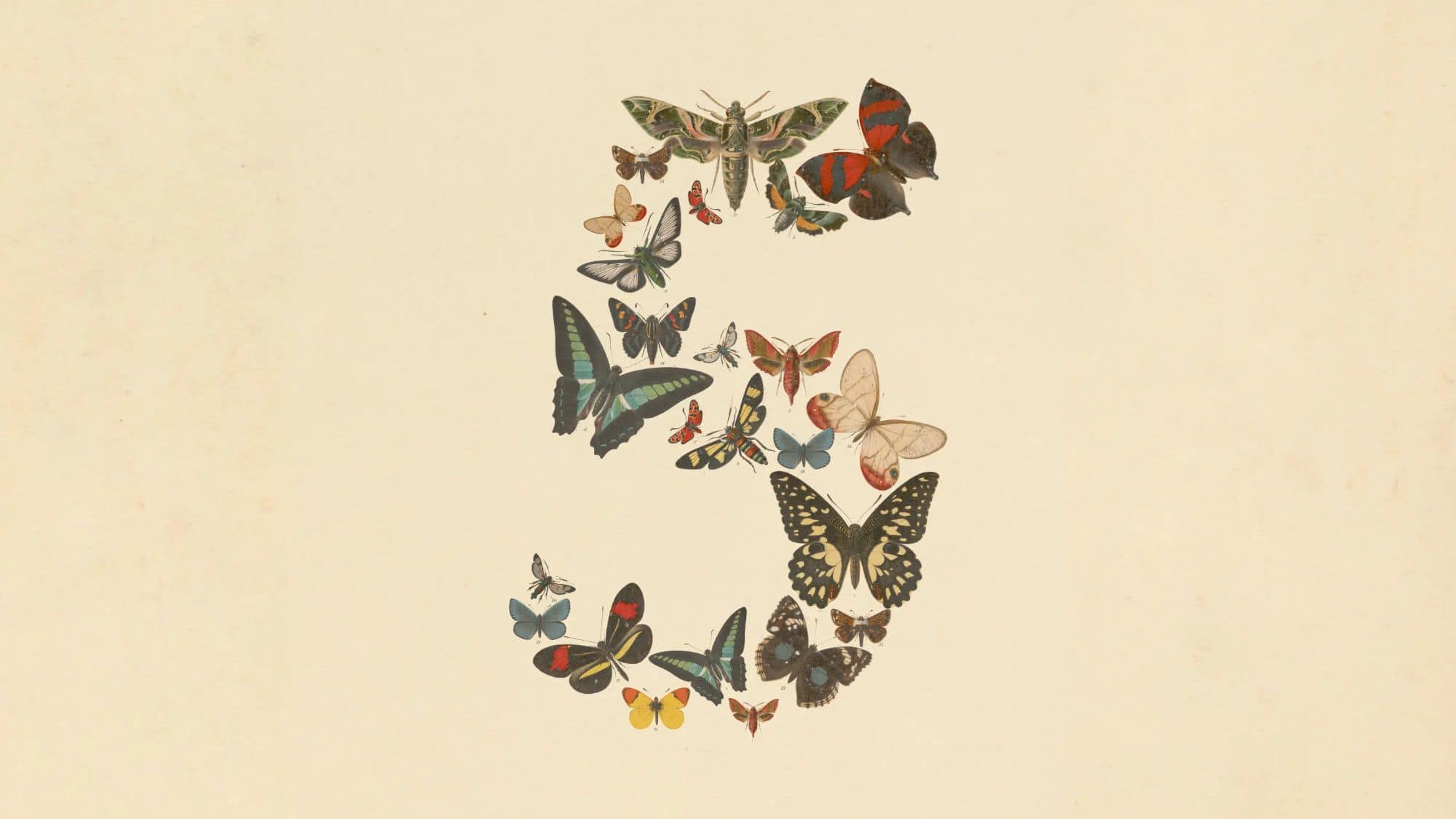 claude-fable-5