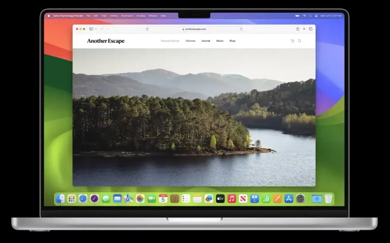 Safari 1