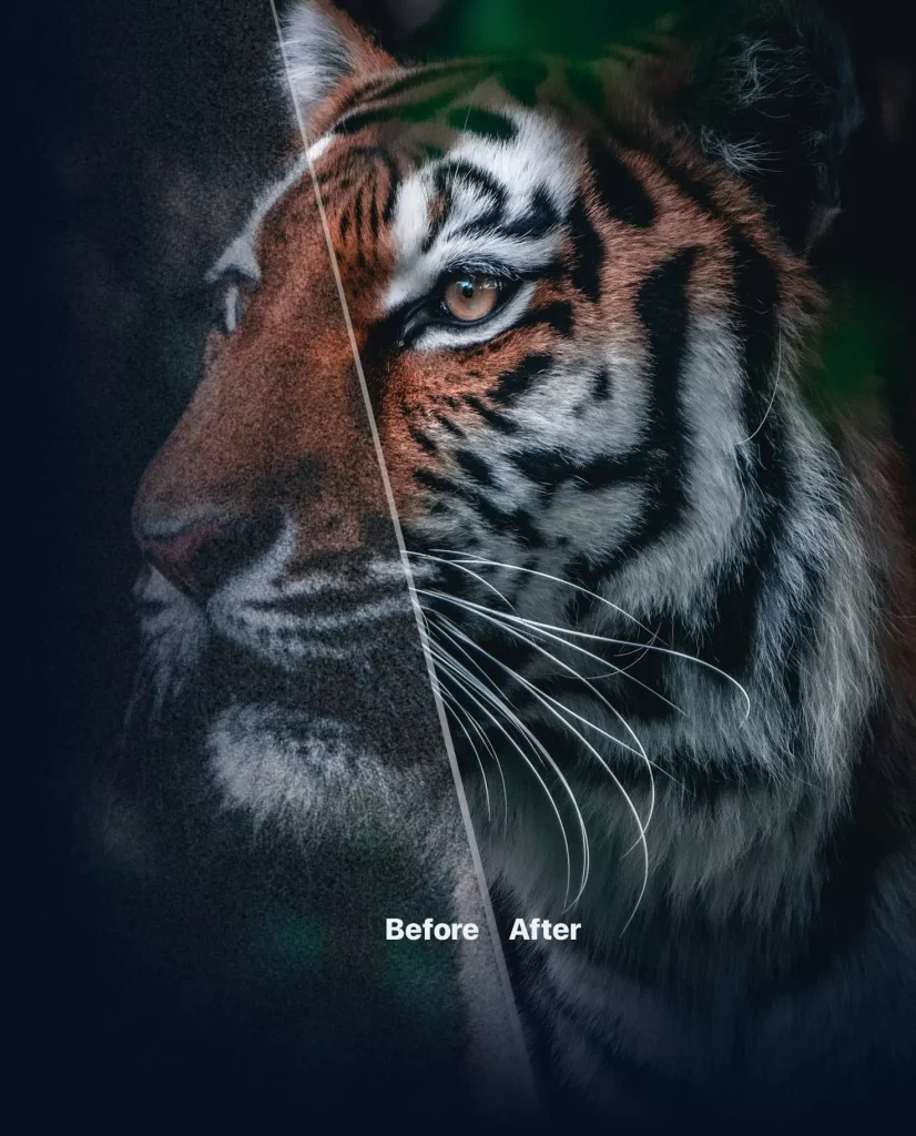 hero tiger@2x