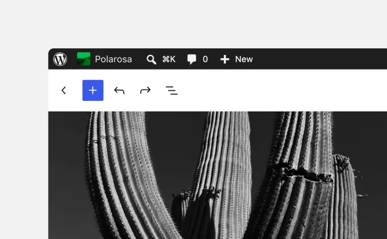 Admin bar now in every editor scaled 1