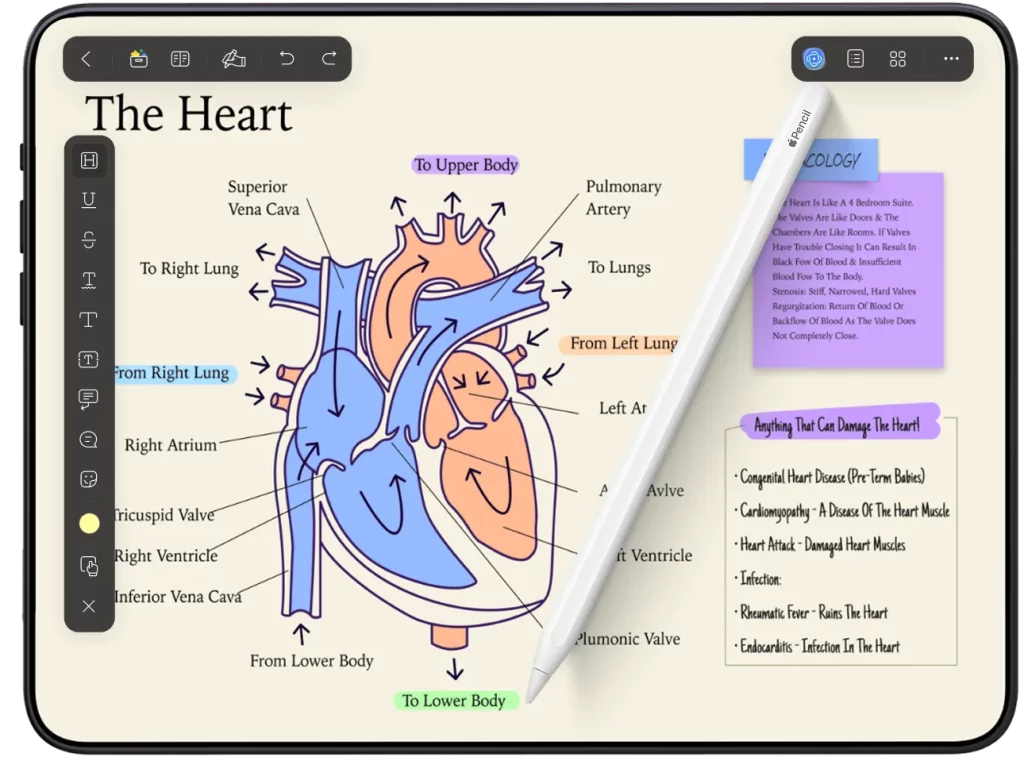 pdf reading bottom left