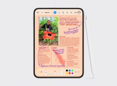 iPhone Duo Apple Pencil