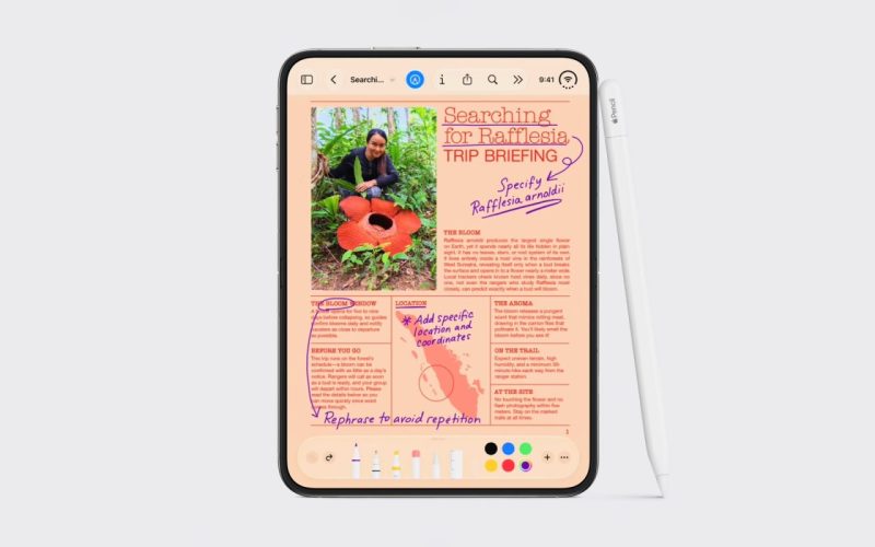 iPhone Duo Apple Pencil